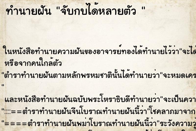ทำนายฝันทำนายฝันจับกบได้หลายตัว